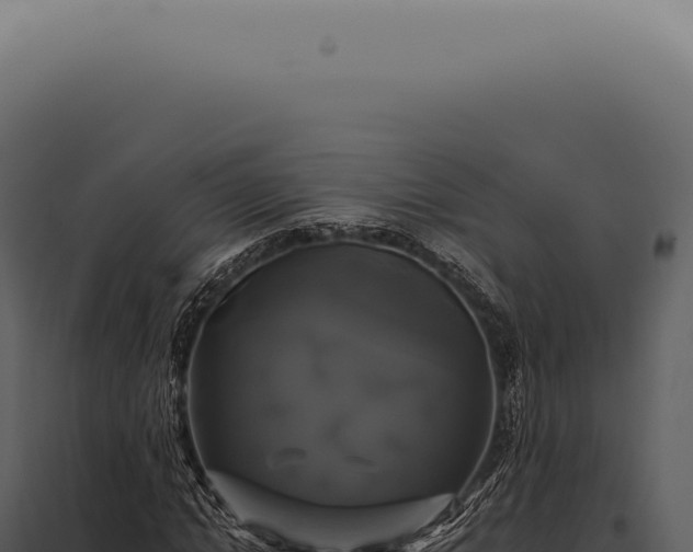 X0000097990822200804011806