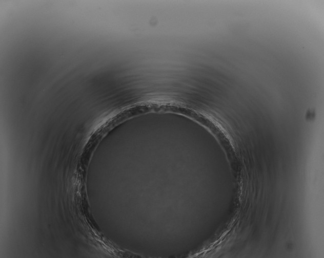 X0000097990823200804011806