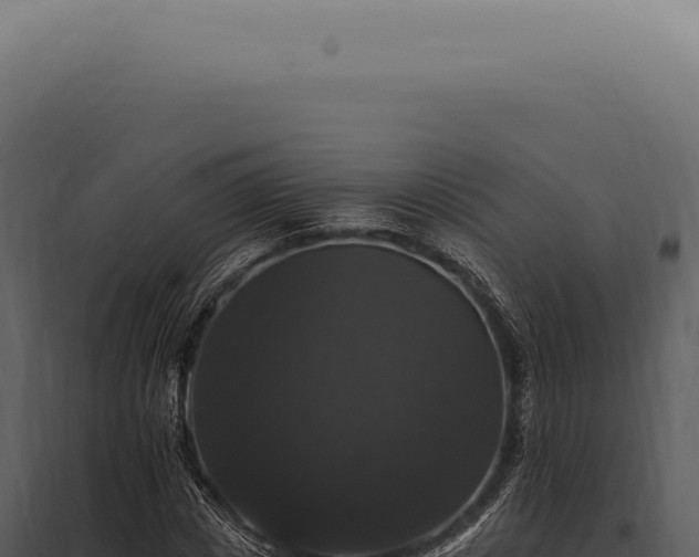 X0000097990825200804011806