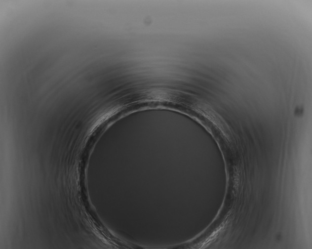 X0000097990826200804011806