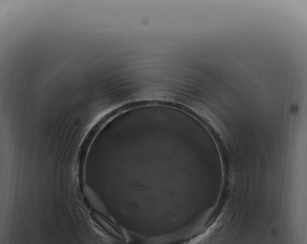 X0000097990830200804011806
