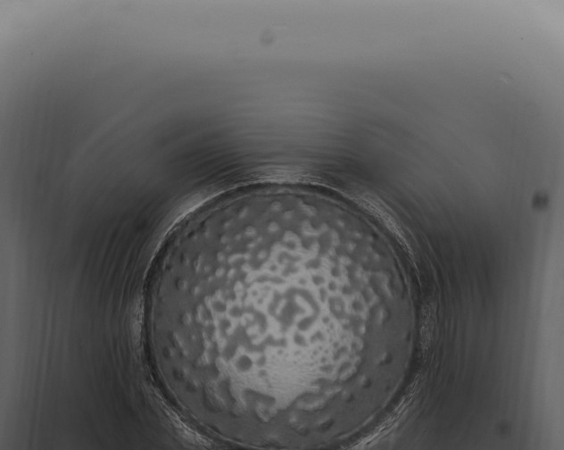X0000097990831200804011806