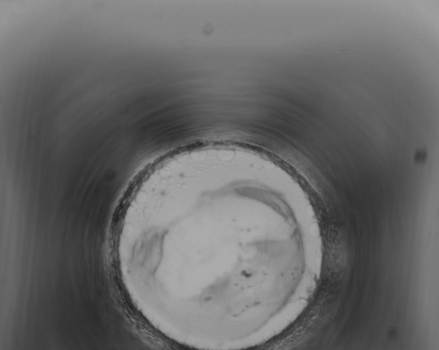 X0000097990832200804011806
