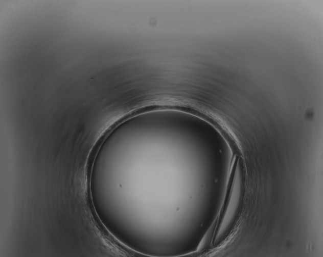 X0000097990837200804011807
