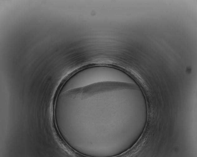 X0000097990840200804011807
