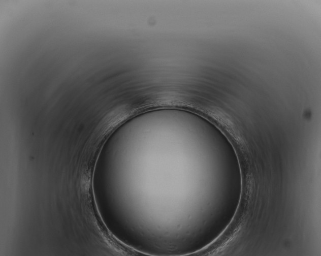 X0000097990841200804011807