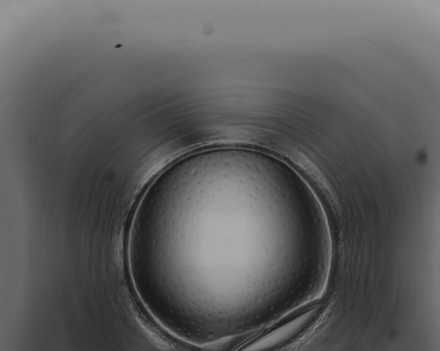 X0000097990842200804011807
