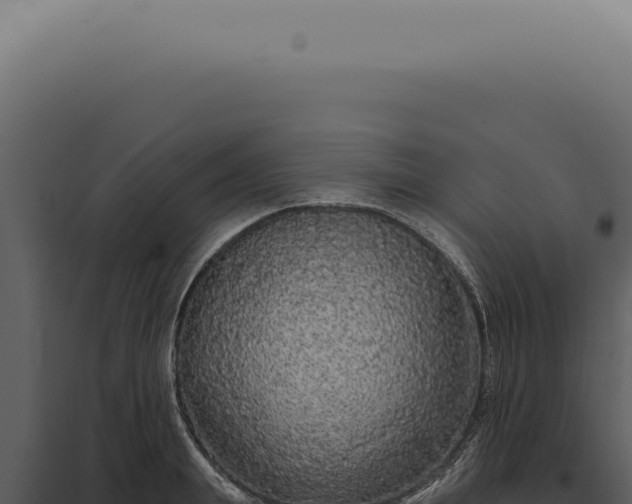 X0000097990847200804011807