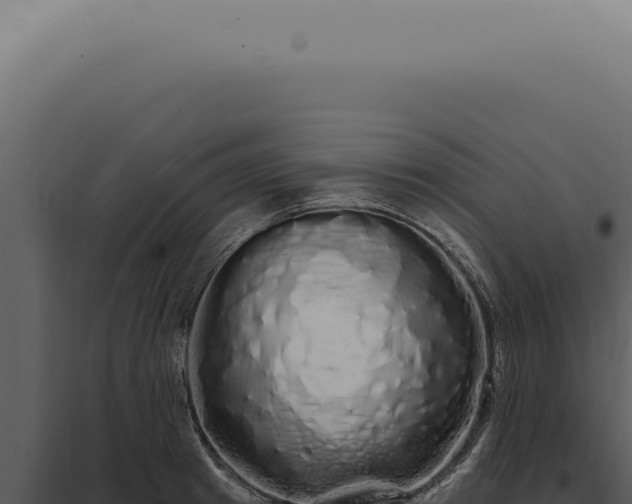 X0000097990849200804011807