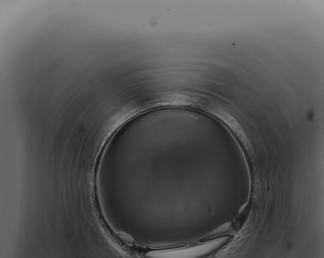 X0000097990850200804011807