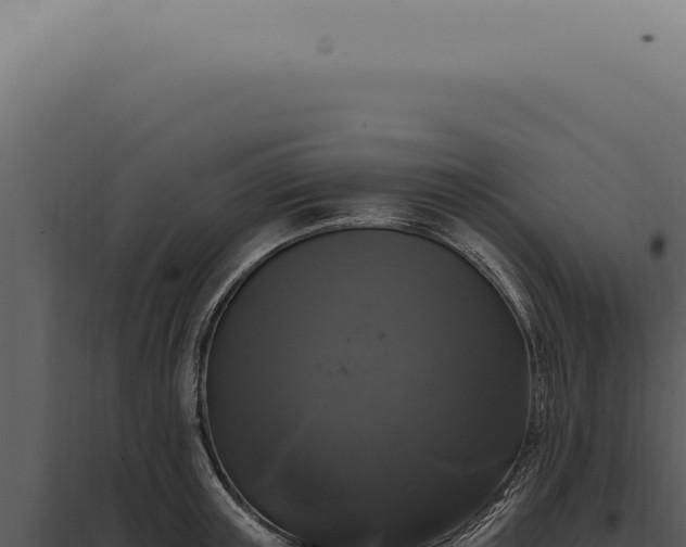 X0000097990851200804011807