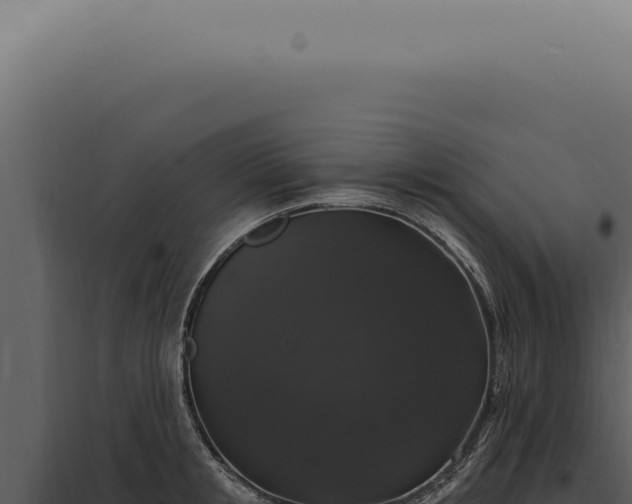 X0000097990853200804011807