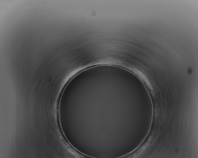 X0000097990854200804011807
