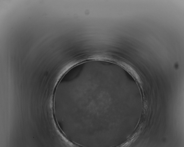 X0000097990855200804011807