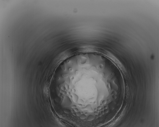 X0000097990857200804011807