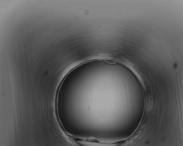 X0000097990861200804011807