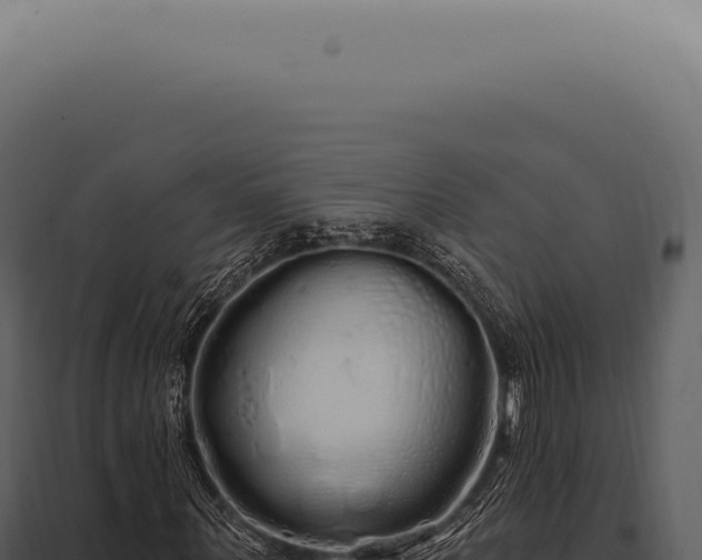 X0000097990867200804011806