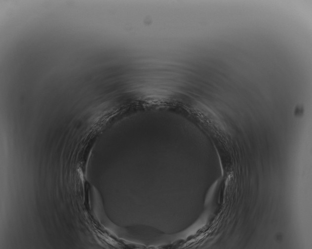 X0000097990868200804011806