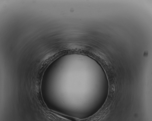 X0000097990869200804011806
