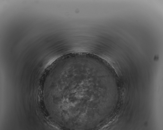X0000097990871200804011806