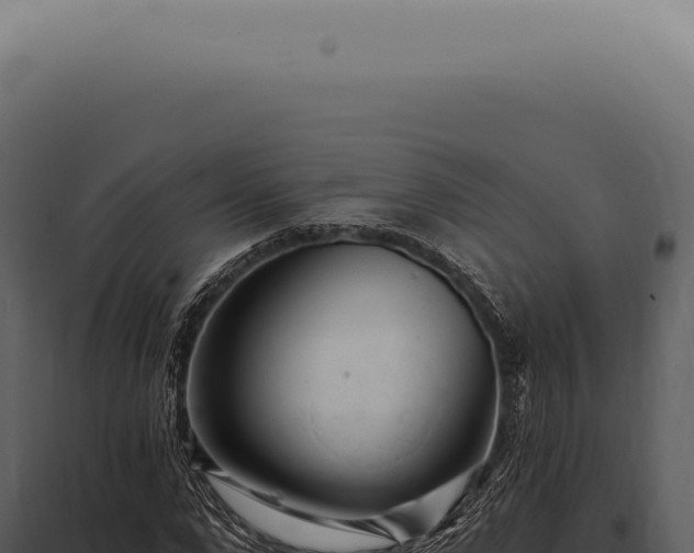 X0000097990872200804011806