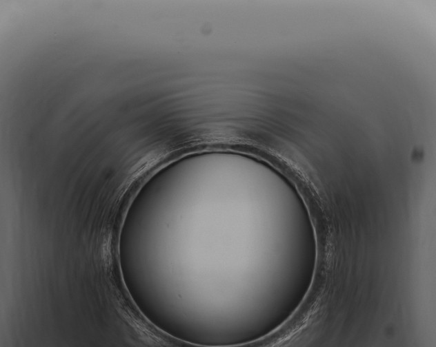 X0000097990873200804011806