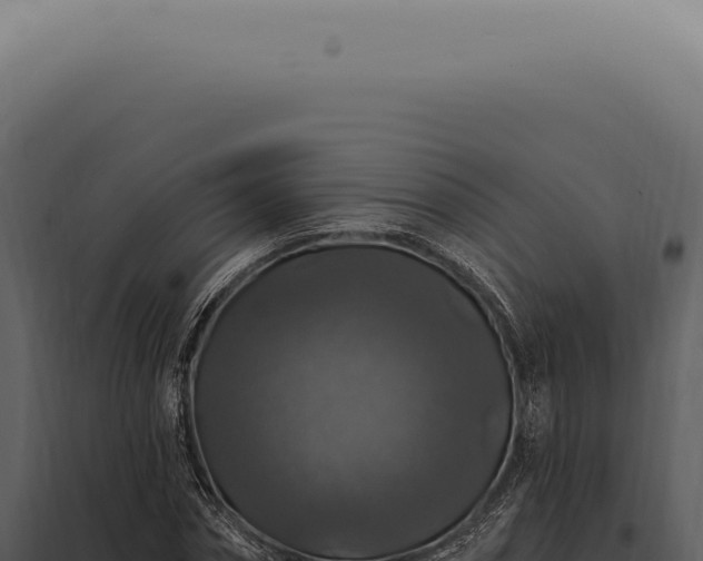 X0000097990874200804011806