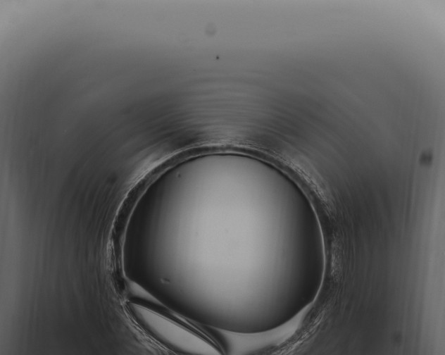 X0000097990876200804011806