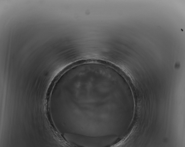 X0000097990879200804011806