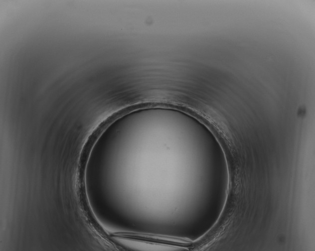 X0000097990880200804011806