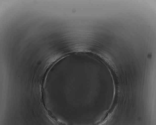 X0000097990881200804011806