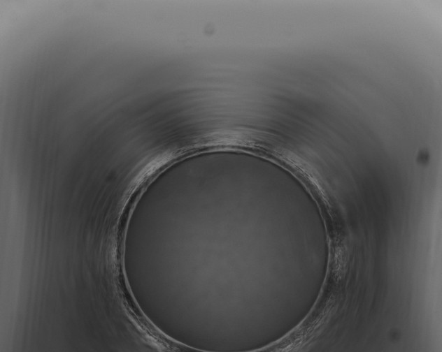 X0000097990882200804011806