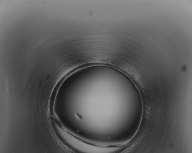 X0000097990884200804011806