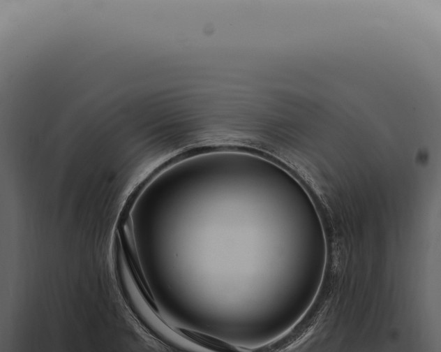 X0000097990885200804011806