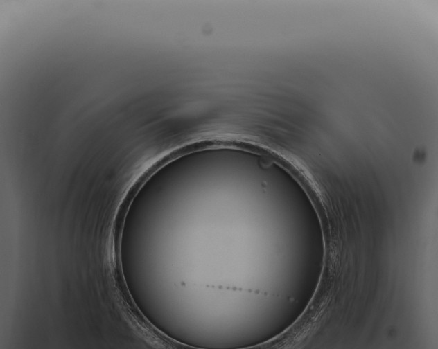 X0000097990887200804011806