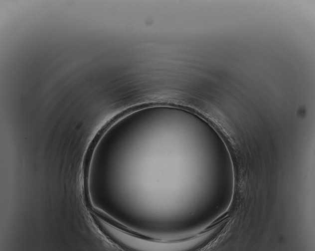 X0000097990888200804011806