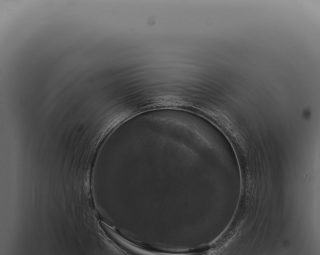 X0000097990889200804011806