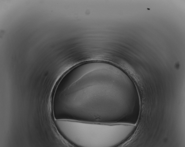 X0000097990892200804011806