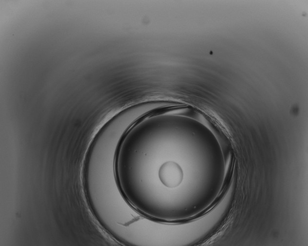 X0000097990893200804011806