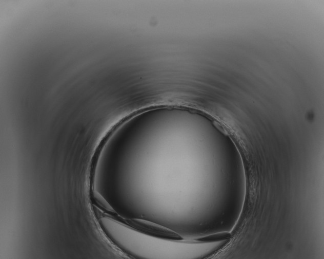 X0000097990896200804011806