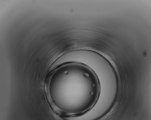 X0000097990897200804011806