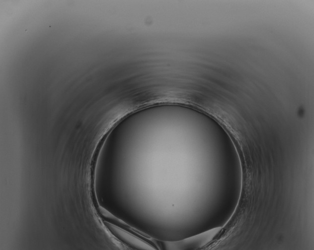 X0000097990898200804011806