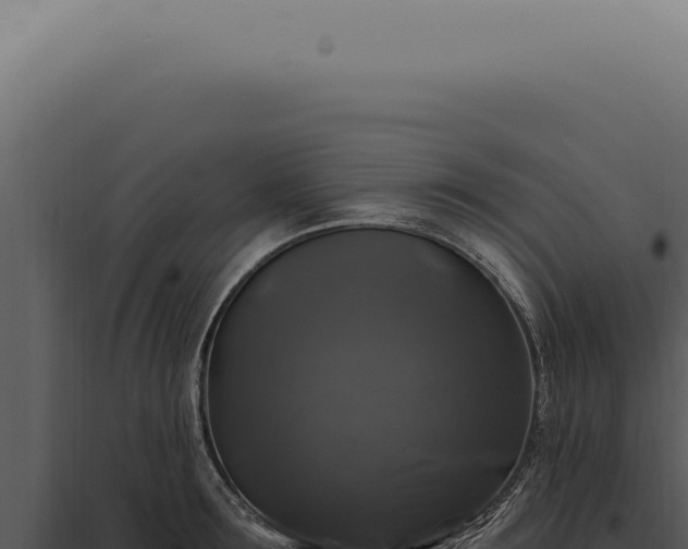 X0000097990899200804011806