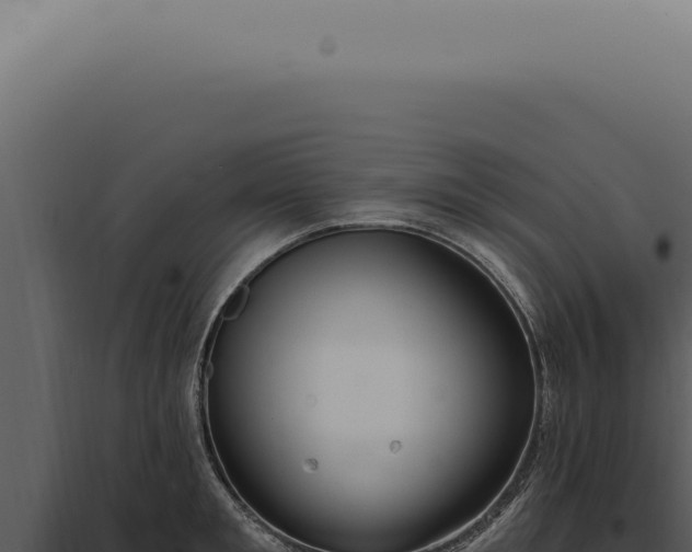 X0000097990901200804011806