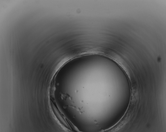 X0000097990906200804011805