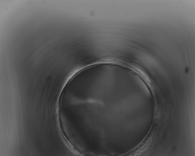 X0000097990907200804011805