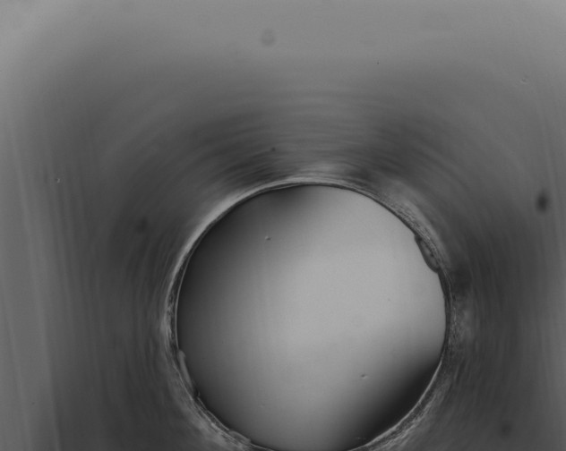 X0000097990908200804011805