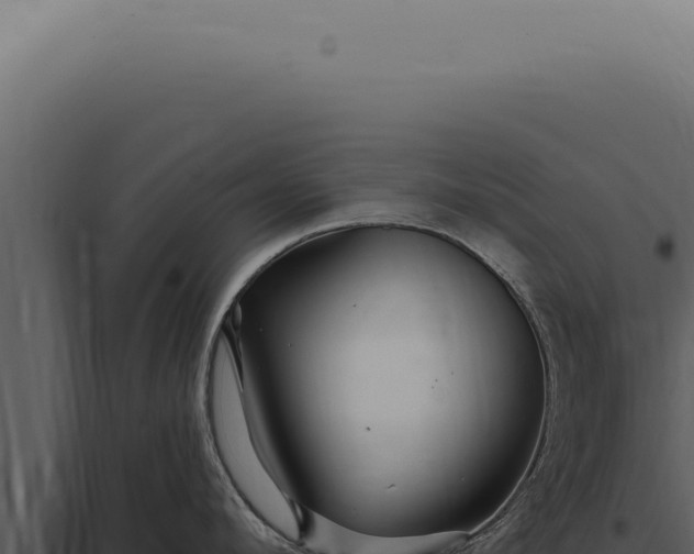 X0000097990912200804011805