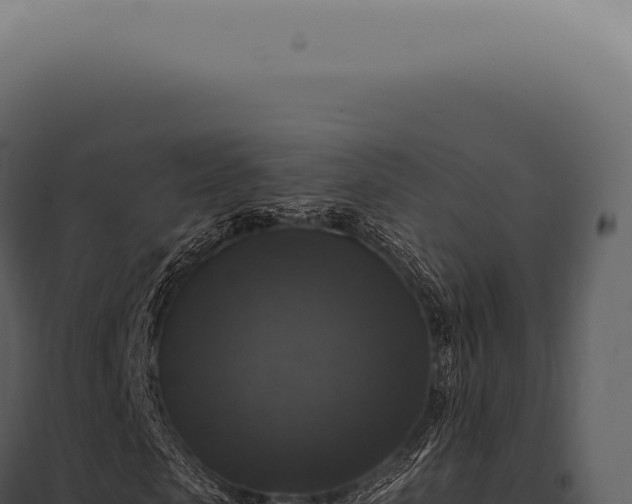 X0000097990913200804011805