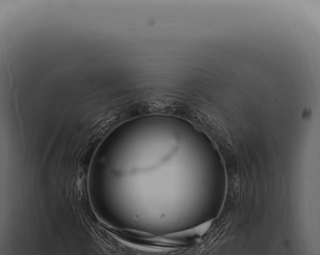 X0000097990914200804011805